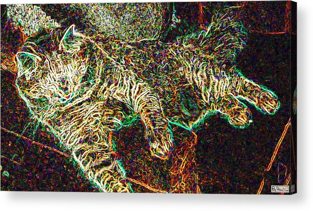Cat Acrylic Print featuring the photograph Jeff Reclining by Paula Greenlee