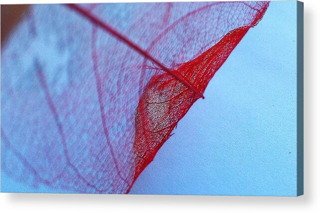  Fine Art America Acrylic Print featuring the photograph Lace Leaf 3 by Jennifer Bright Burr