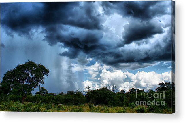 Landscape Acrylic Print featuring the photograph Much wanted rain by Mareko Marciniak