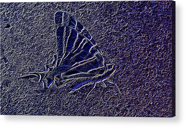 Neon Acrylic Print featuring the photograph Neon butterfly by Manuela Constantin