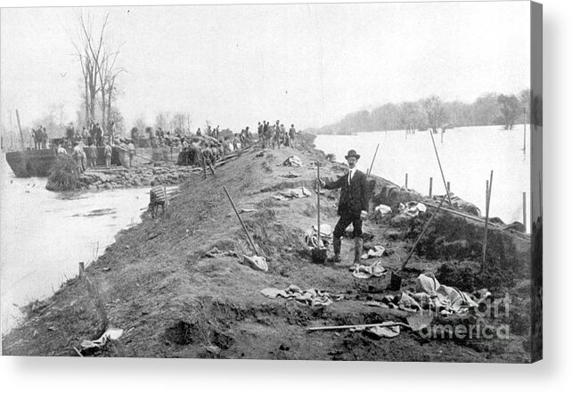 Science Acrylic Print featuring the photograph Repairing Mississippi Levee, 1903 by Science Source