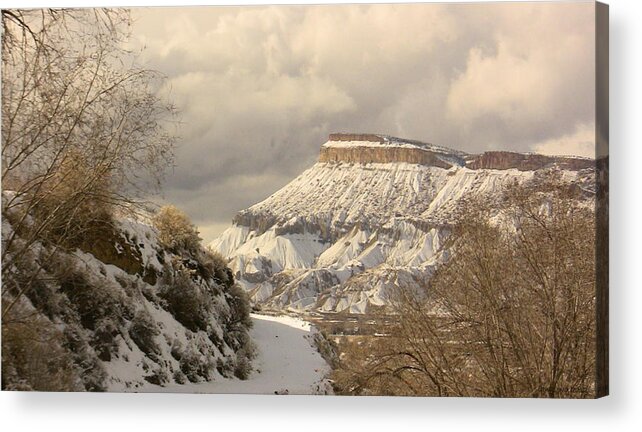 Mountain Acrylic Print featuring the photograph Storm over Mt Garfield by Lani Richmond Elvenia