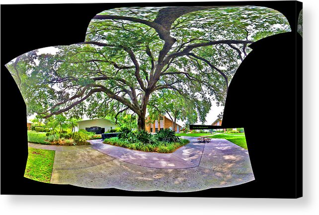 Tree Acrylic Print featuring the photograph Tree in Church Yard by Larry Mulvehill