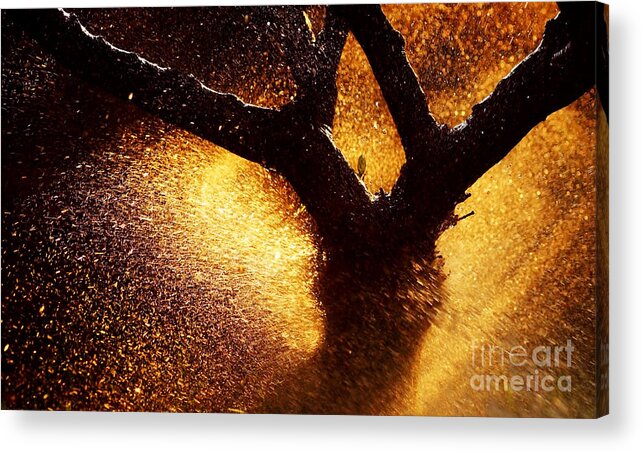 Abstract Acrylic Print featuring the photograph Tree trunk silhouette by Anna Om