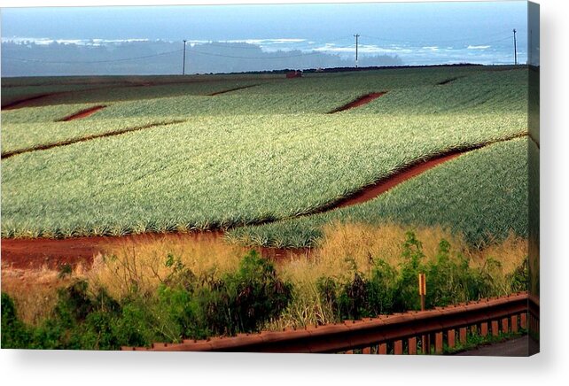 Landscapes Acrylic Print featuring the photograph Waves of Pineapple by Karen Wiles