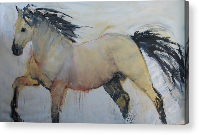 Wild Horses Acrylic Print featuring the painting Wild Horse 1 2012 by Elizabeth Parashis