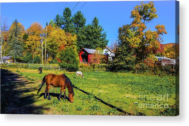 Fall Foliage Acrylic Print featuring the photograph Classic Vermont Scene #5 by Scenic Vermont Photography