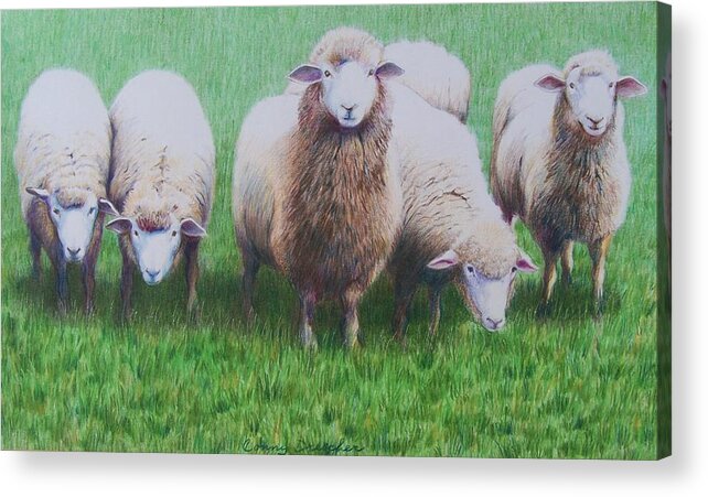 Sheep Acrylic Print featuring the mixed media Friends by Constance Drescher