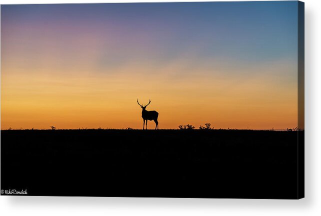 Point Reyes Acrylic Print featuring the photograph Last Light #1 by Mike Ronnebeck