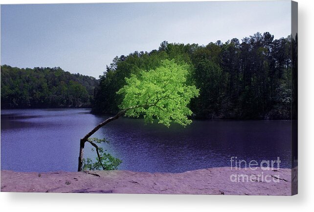 Tree Acrylic Print featuring the photograph Lonesome #1 by Barbara Teller