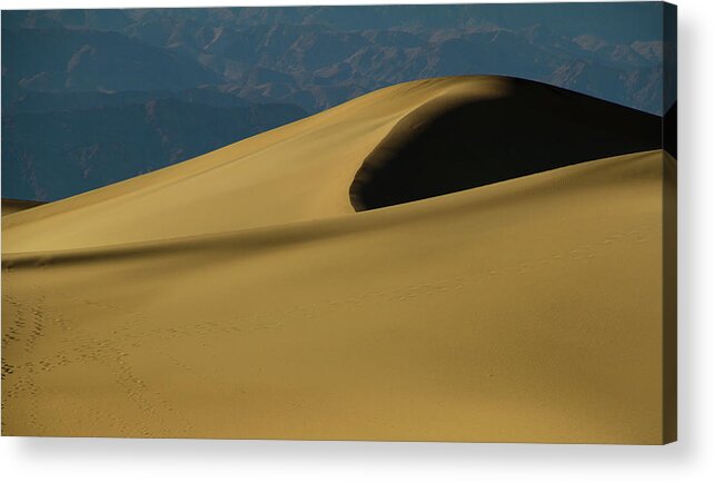Mesquite Dunes Acrylic Print featuring the photograph Tones of Mesquite #1 by Kunal Mehra
