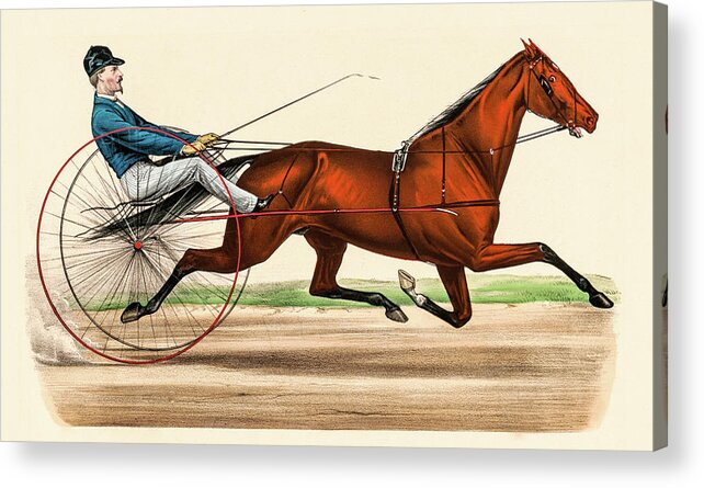 Cape May Acrylic Print featuring the photograph Victorian Jockey #1 by David Letts