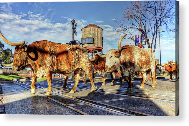 Fort Worth Texas Usa Acrylic Print featuring the photograph Fort Worth Texas USA #16 by Paul James Bannerman