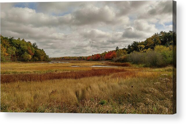 Marsh Acrylic Print featuring the photograph Autumn #2 by Jewels Hamrick