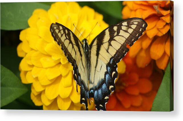 Flowers Acrylic Print featuring the photograph 2021 by Maria Wall