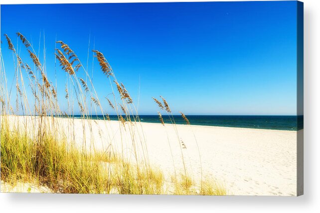 Florida Acrylic Print featuring the photograph Beautiful Beach by Raul Rodriguez
