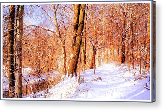 Winter Acrylic Print featuring the photograph Winter by a Pennsylvania Stream #5 by A Macarthur Gurmankin
