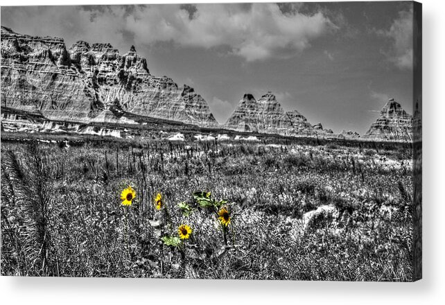 South Acrylic Print featuring the photograph A Figment of your Imagination by Deborah Klubertanz