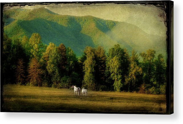 Cades Cove Acrylic Print featuring the photograph A Pair by Mike Eingle