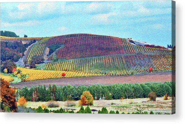 Vineyards Acrylic Print featuring the photograph A Yamhill Co. Vineyard by Margaret Hood
