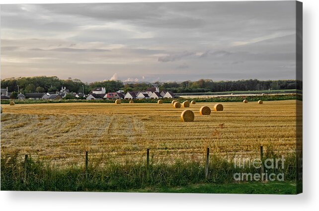 Evening Landscape Acrylic Print featuring the photograph After harvest. by Elena Perelman