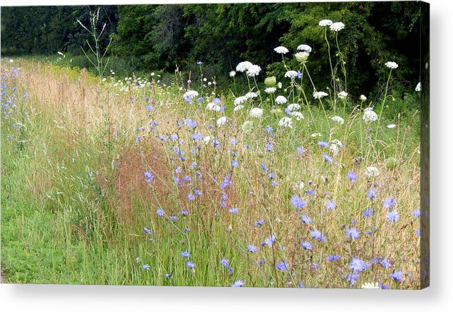 Summer Acrylic Print featuring the photograph Along the Way by Wild Thing