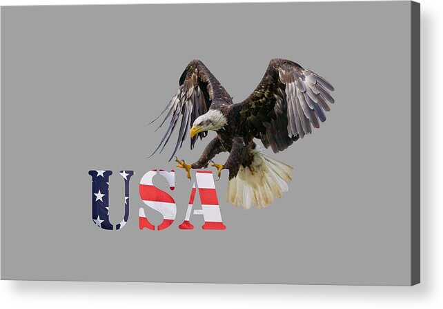 Eagle Acrylic Print featuring the photograph Americ's Eagle by Scott Carruthers