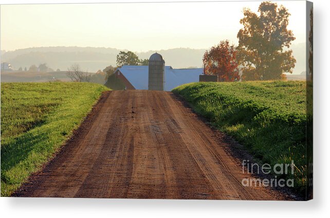 Amish Country Acrylic Print featuring the photograph Amish Road at Sunrise 5789 by Jack Schultz