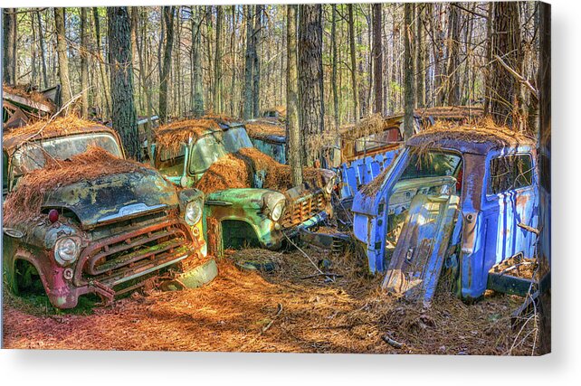 Truck Acrylic Print featuring the photograph Antique Trucks by Dennis Dugan