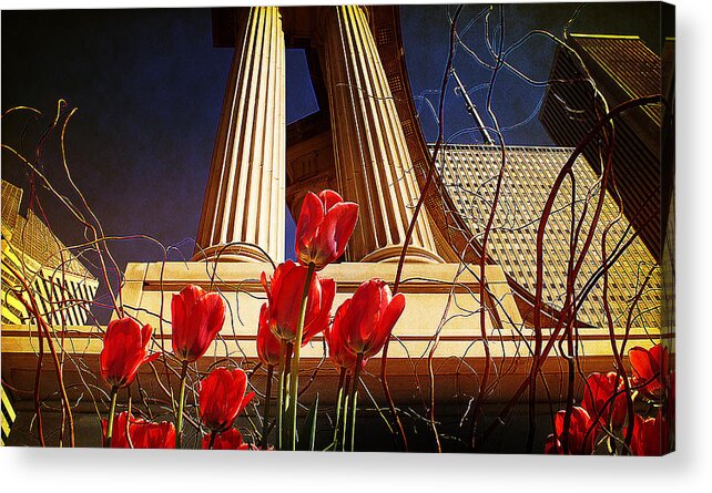 Tulips Acrylic Print featuring the photograph Art in the City by Milena Ilieva