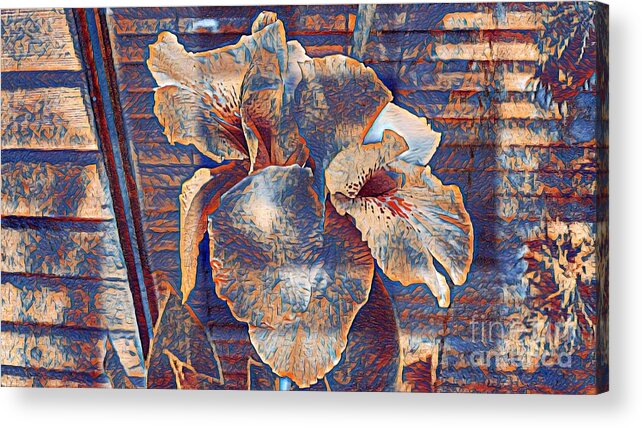 Botanical Acrylic Print featuring the photograph Arty lilly by Steven Wills
