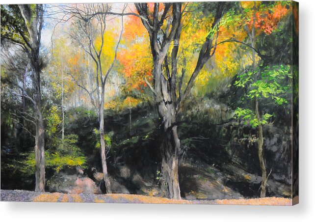 Landscape Acrylic Print featuring the painting Autumn at Loggerheads by Harry Robertson