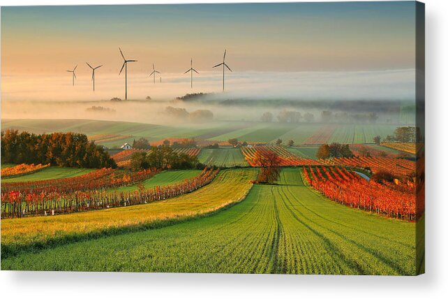 Landscape Acrylic Print featuring the photograph Autumn Atmosphere In Vineyards by Matej Kovac