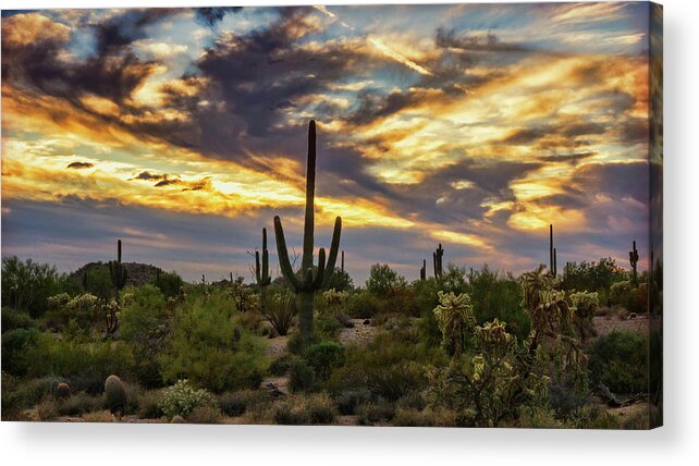 Saguaro Sunset Acrylic Print featuring the photograph Autumn Desert Skies Aglow by Saija Lehtonen