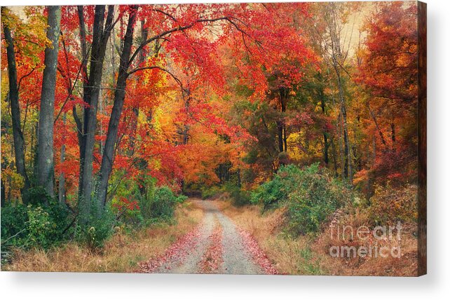 Autumn Acrylic Print featuring the photograph Autumn In New Jersey by Beth Ferris Sale
