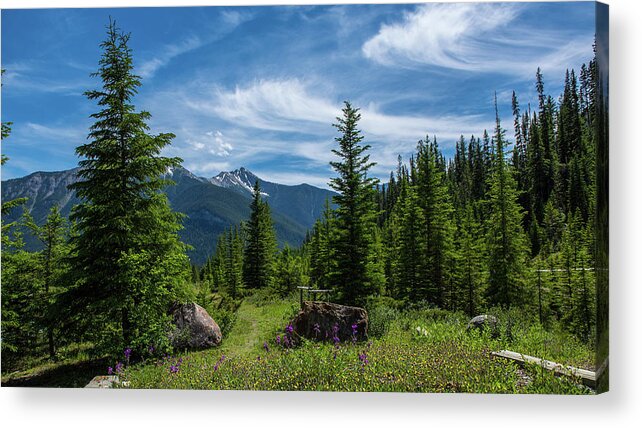 Banff National Park Acrylic Print featuring the photograph Banff, Mountain View by Ron Biedenbach