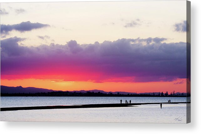Landscape Acrylic Print featuring the photograph Beautiful Evening by Michael Blaine