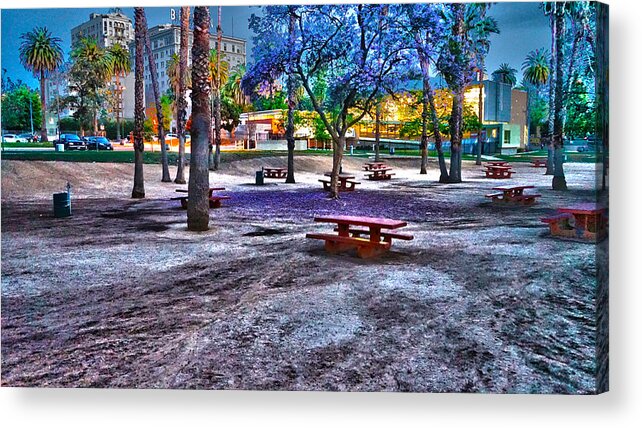 Find U'r Love Found Acrylic Print featuring the photograph Benches Day In The Park by Kenneth James