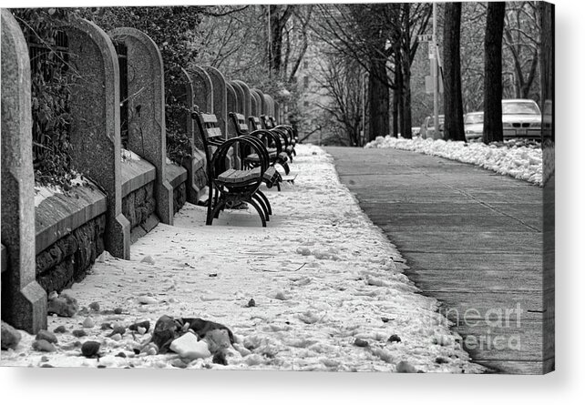 Ny Acrylic Print featuring the photograph Benches Snow NYC Parks Black W by Chuck Kuhn