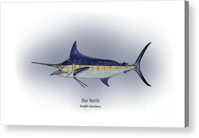 Blue Marlin Acrylic Print featuring the painting Blue Marlin by Ralph Martens