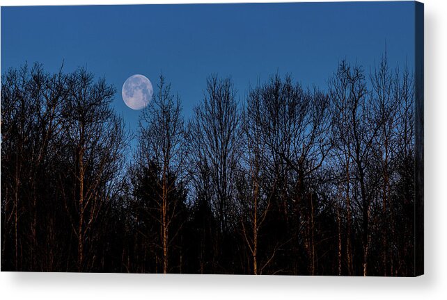 Moon Acrylic Print featuring the photograph Blue Moon Blue Hour by Joe Holley