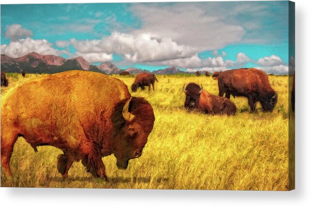 American Buffalo Acrylic Print featuring the mixed media Buffalos on the Range by Sandra Selle Rodriguez