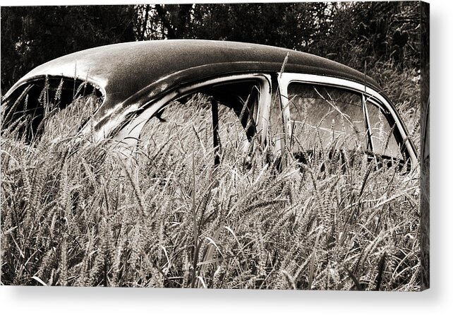 Volkswagen Acrylic Print featuring the photograph Bug in the Grass by Marilyn Hunt