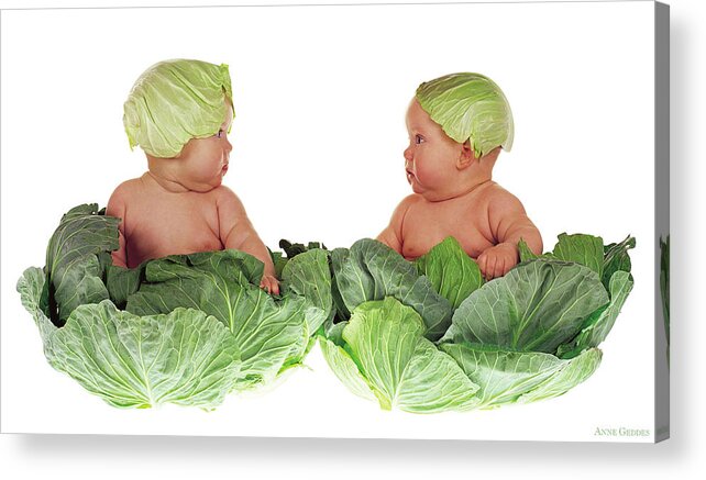 Baby Acrylic Print featuring the photograph Cabbage Kids by Anne Geddes
