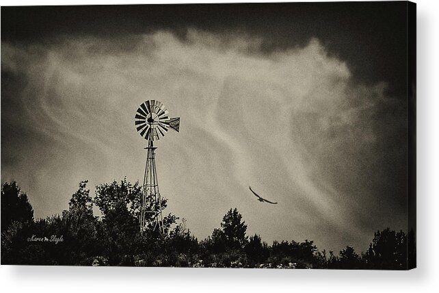 Eagle Acrylic Print featuring the photograph Catching the Updraft by Karen Slagle