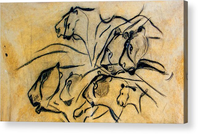 Chauvet Cave Lions Acrylic Print featuring the photograph chauvet cave lions Clear by Weston Westmoreland