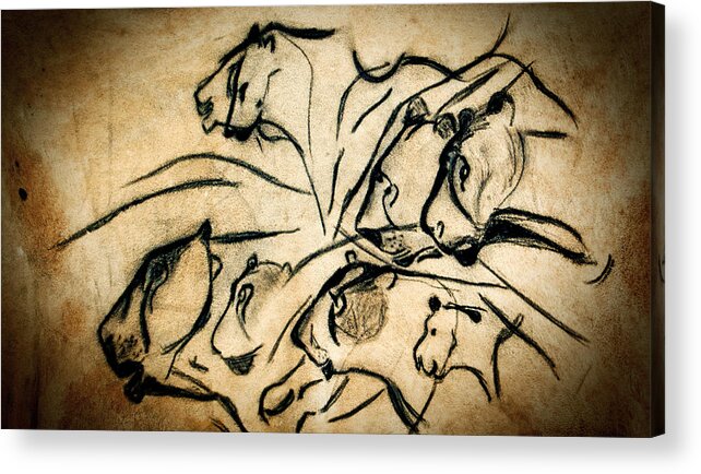 Chauvet Cave Lions Acrylic Print featuring the photograph Chauvet Cave Lions by Weston Westmoreland