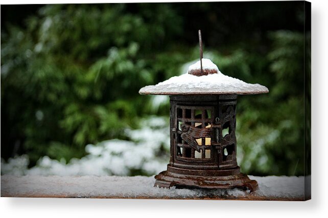 Outdoors Acrylic Print featuring the photograph Chinese Lantern by KATIE Vigil