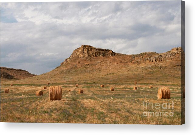 Farm Acrylic Print featuring the photograph Clouds and Bales by Julia McHugh