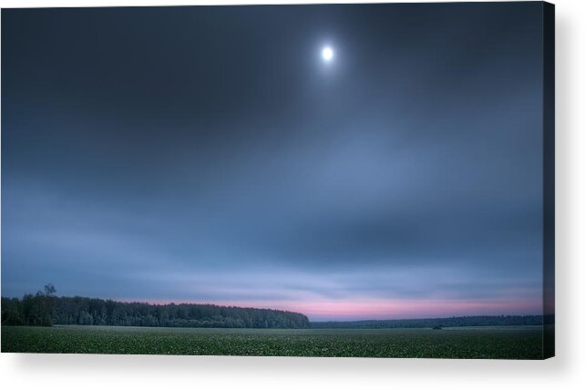 Twilight Acrylic Print featuring the photograph Clover field under moon by Alexey Kljatov